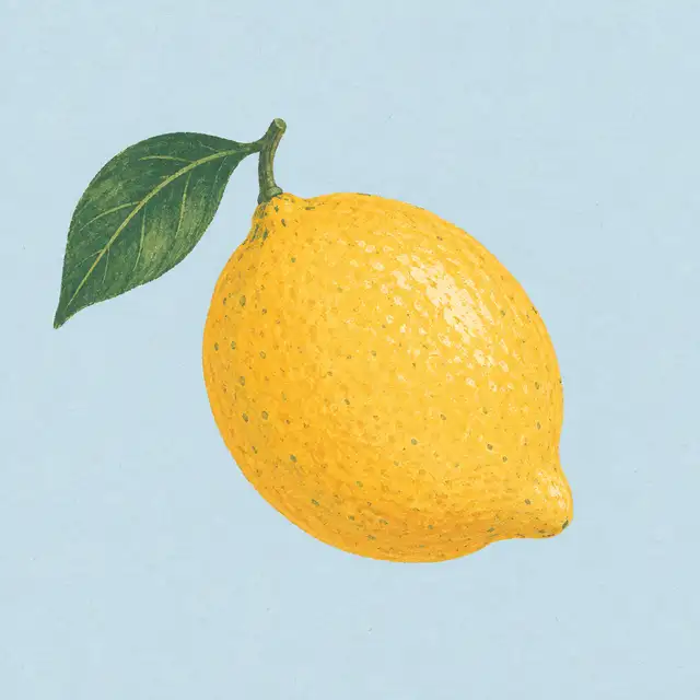 El tamaño de tu bebé en la semana 14: un limón.