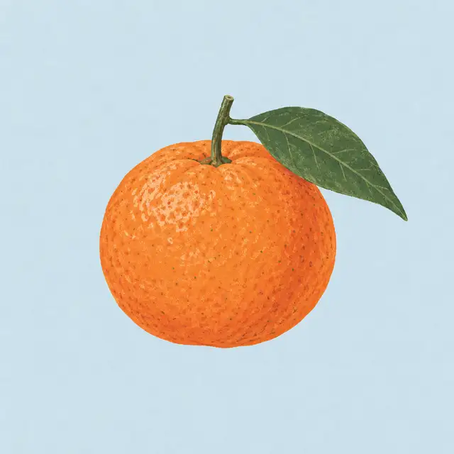 El tamaño de tu bebé en la semana 15: una mandarina.