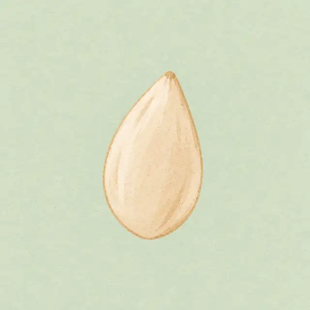 El tamaño de tu bebé en la semana 5: un grano de sésamo.